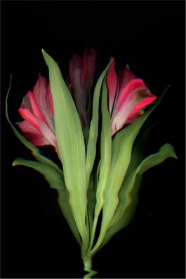 Aurelien Juner Studio