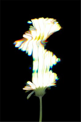 Aurelien Juner Studio