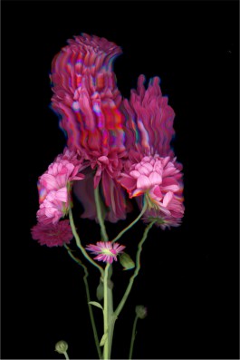 Aurelien Juner Studio